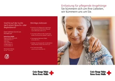 CRVs25_Proches_aidants_All_light_0.pdf